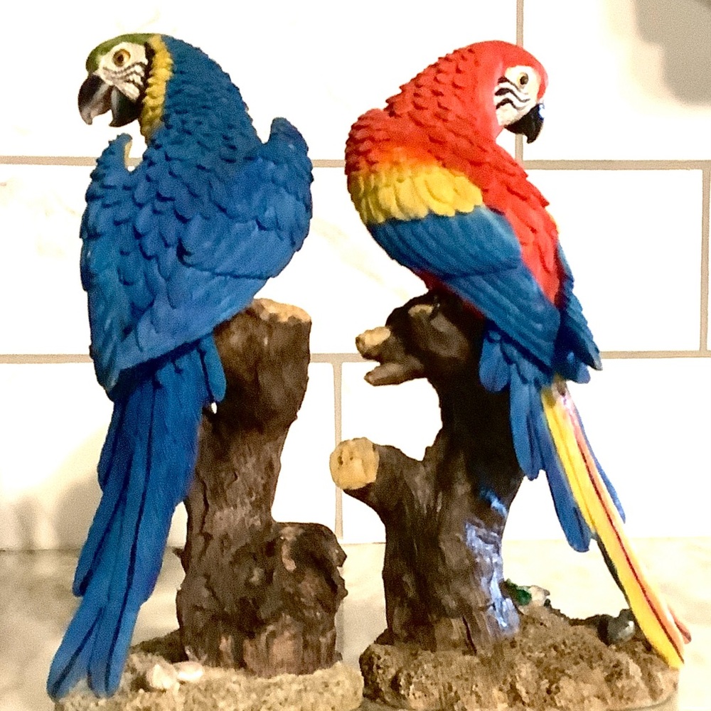Blue and Red Bird Perches and Swings